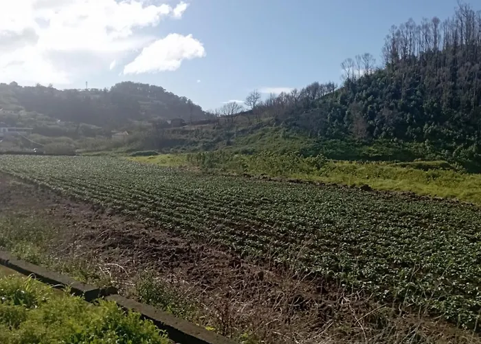 Village Sea House - *